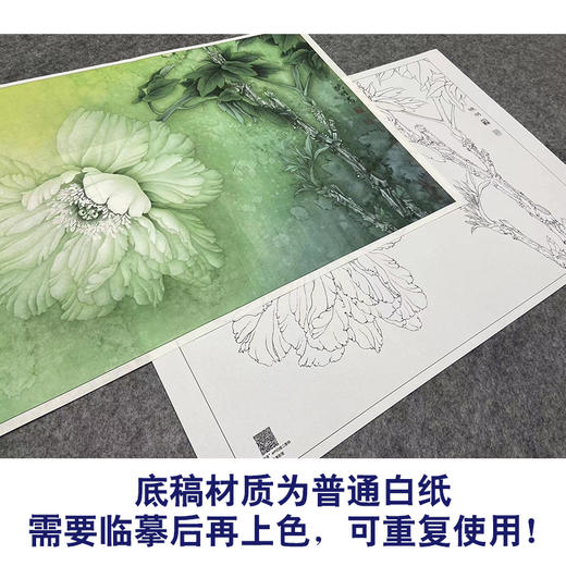 【大彩图】李晓明工笔画白描底稿小品《夜光白》牡丹临摹勾线花鸟线稿K025 商品图3