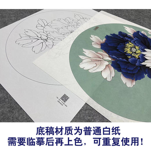 【大彩图】李晓明工笔画白描底稿小品墨海青龙牡丹临摹勾线花鸟线稿K015 商品图3