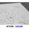 【大彩图】李晓明工笔画白描底稿小品《朱砂垒》牡丹临摹勾线花鸟线稿K017 商品缩略图4