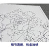 【大彩图】工笔画白描底稿小品《碧空金星》牡丹临摹勾线花鸟线稿K027 商品缩略图4