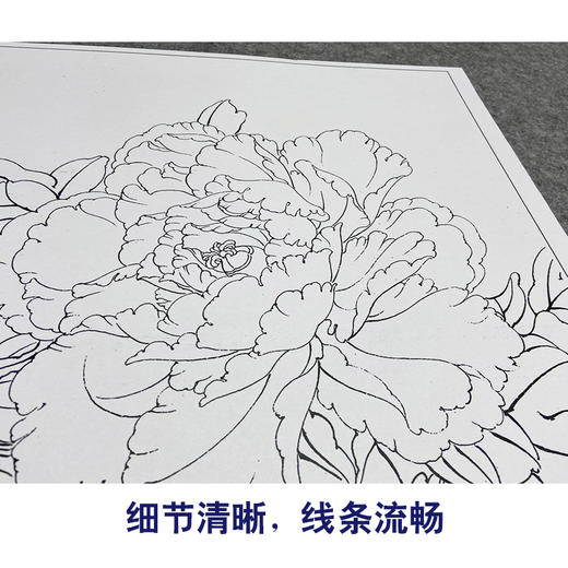 【大彩图】工笔画白描底稿小品《碧空金星》牡丹临摹勾线花鸟线稿K027 商品图4