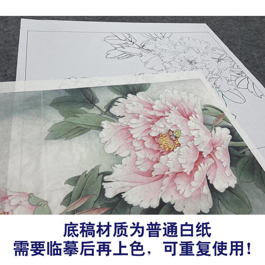 【大彩图】李晓明工笔画白描底稿小品《重绘赵粉》牡丹花鸟线稿K024 商品图3