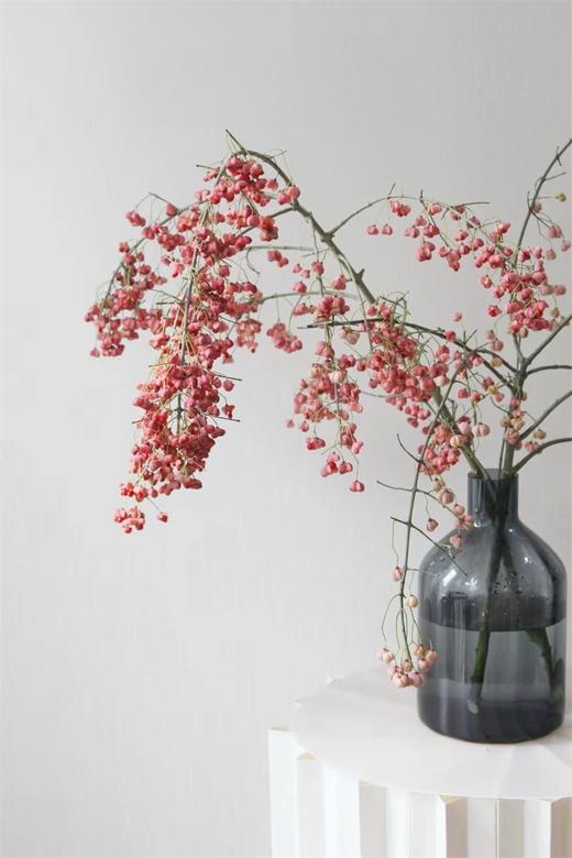 小众花材白杜果/开口笑鲜切花一扎（1-2支） 商品图8