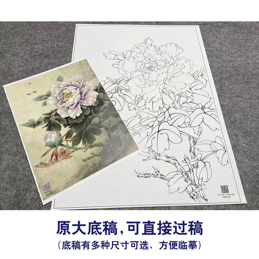 【大彩图】工笔画白描底稿小品《碧空金星》牡丹临摹勾线花鸟线稿K027 商品图1