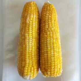 2025年速冻玉米散装（散装28穗/箱配送）