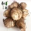 【弘毅六不用生态农场】六不用 顺季节 露地种植 毛芋头 3斤/份 商品缩略图1