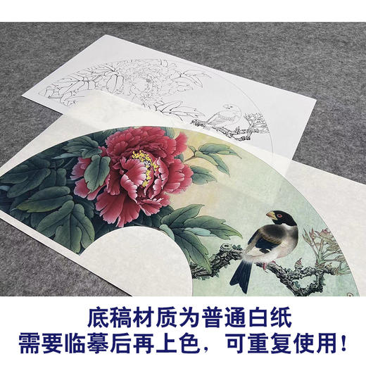 【大彩图】李晓明工笔画白描底稿扇面小品《蜡嘴小胡红》牡丹临摹勾线花鸟线稿K005 商品图3