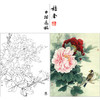 【大彩图】工笔画白描底稿小品《二乔蜡嘴》牡丹临摹勾线花鸟线稿K028 商品缩略图0