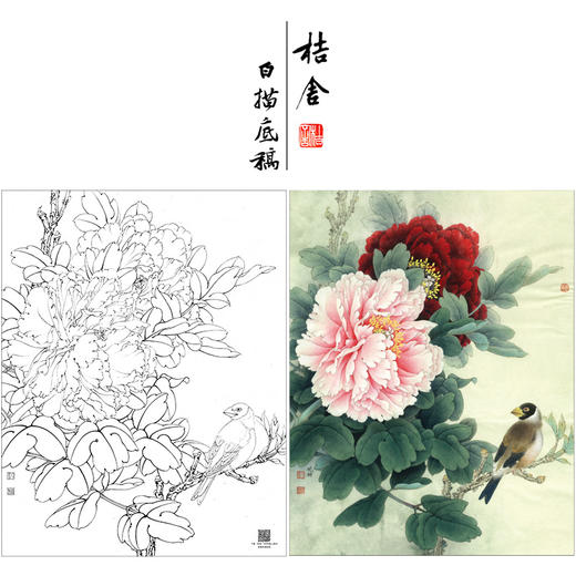 【大彩图】工笔画白描底稿小品《二乔蜡嘴》牡丹临摹勾线花鸟线稿K028 商品图0