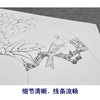 【大彩图】李晓明工笔画白描底稿扇面小品《蜡嘴小胡红》牡丹临摹勾线花鸟线稿K005 商品缩略图4