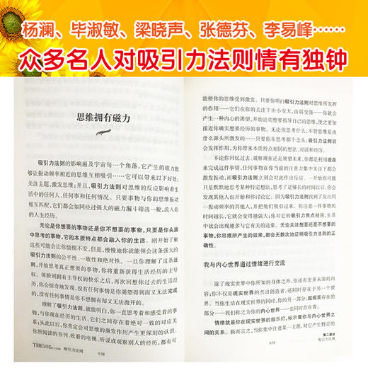 吸引力法则 葵花版 （为自己的生命吸引健康、财富和幸福...美好事物。)杨澜、毕淑敏、梁晓声、杨幂、大S、孙俪、徐静蕾、欧普拉等钟情的幸福法则！上市一周即荣登《纽约时报》畅销书总榜，翻译成30多国文字 商品图10