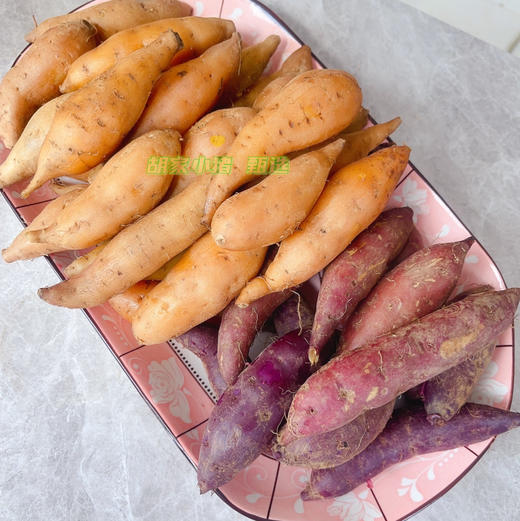 贵州·安顺·紫云·地理标识红心薯·紫薯（五斤/件全国包邮-除新疆西藏内蒙古甘肃宁夏） 商品图1