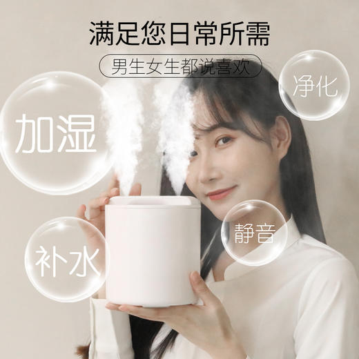 倍为 车载双喷负离子加湿器办公室家用卧室孕妇婴儿大喷雾量室内桌面保湿补水加湿器 双喷1L白色 商品图1