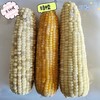 2025年速冻玉米散装（散装28穗/箱配送） 商品缩略图2