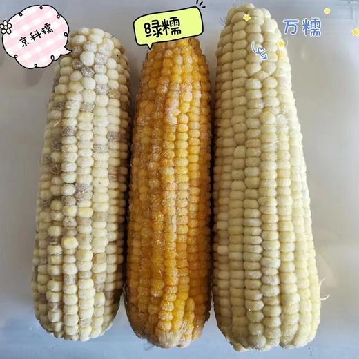 2025年速冻玉米散装（散装28穗/箱配送） 商品图2