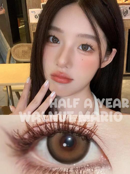 papadox 半年抛 核桃马里奥 直径14.5mm着色14.0mm 商品图0