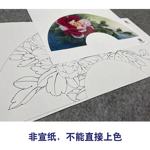 【大彩图】李晓明工笔画白描底稿扇面小品《二乔》牡丹临摹勾线花鸟线稿K007 商品图2