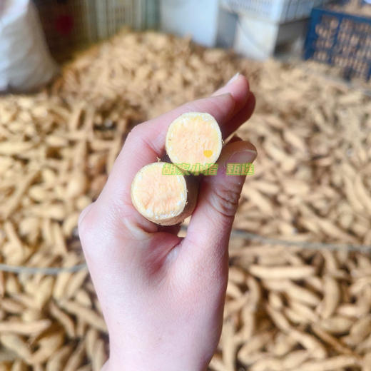 贵州·安顺·紫云·地理标识红心薯·紫薯（五斤/件全国包邮-除新疆西藏内蒙古甘肃宁夏） 商品图5