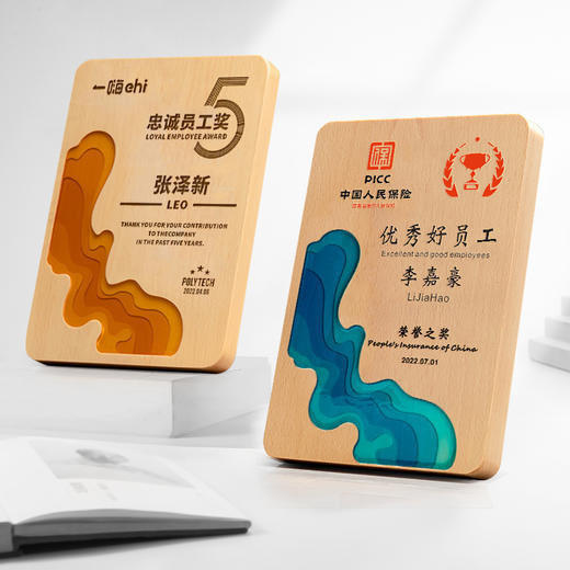 实木创意奖牌定制定做木质授权牌定制表彰奖章荣誉牌匾定 商品图0