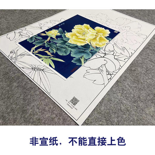 【大彩图】李晓明工笔画白描底稿小品《金幌》牡丹临摹勾线花鸟线稿K034 商品图2
