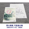 【大彩图】李晓明工笔画白描底稿小品《玉芙蓉》牡丹临摹勾线花鸟线稿K031 商品缩略图1