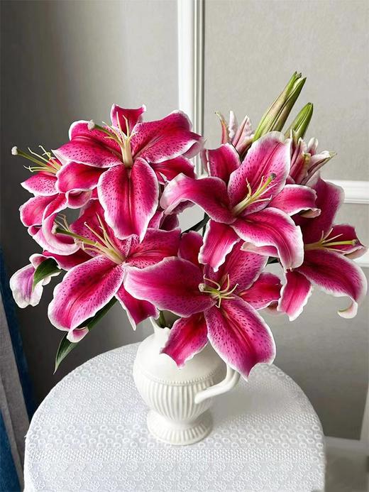 卡瓦娜多头百合5支 商品图1