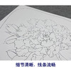 【大彩图】李晓明工笔画白描底稿宫扇《墨花魁》牡丹临摹勾线花鸟线稿K009 商品缩略图4
