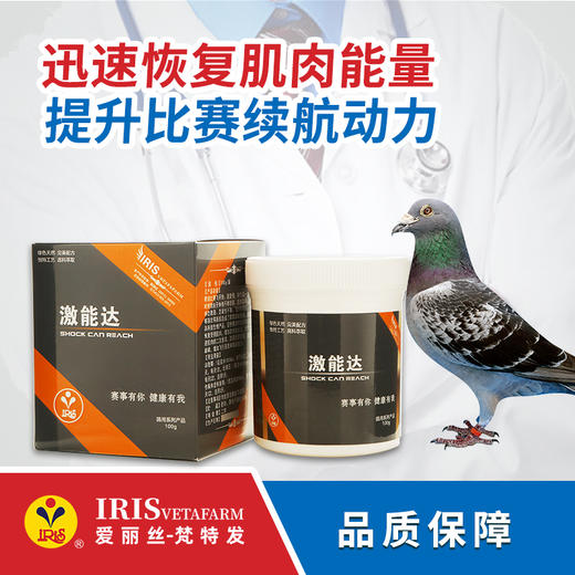 【爱丽丝】激能达100克 商品图0