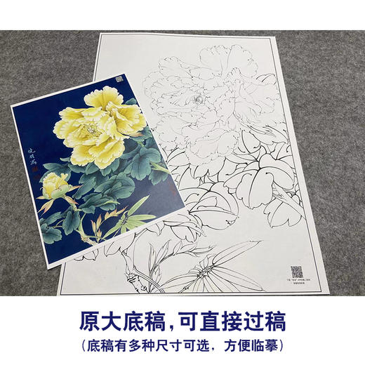 【大彩图】李晓明工笔画白描底稿小品《金幌》牡丹临摹勾线花鸟线稿K034 商品图1