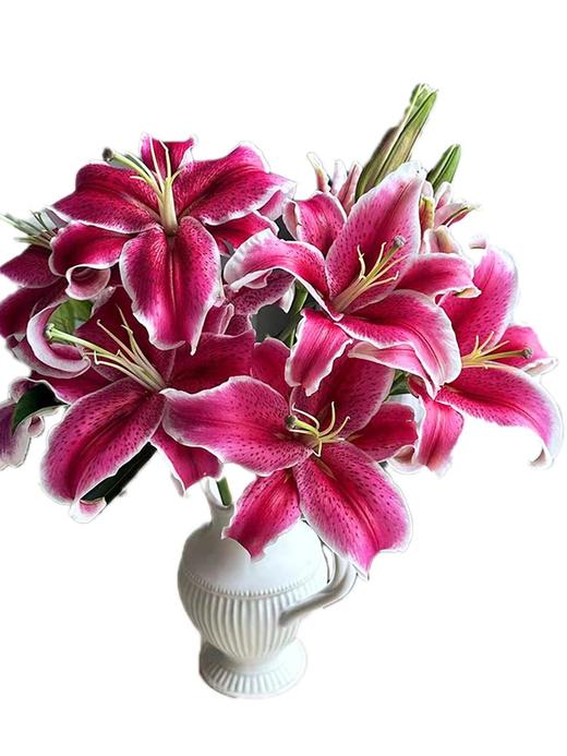 卡瓦娜多头百合5支 商品图4