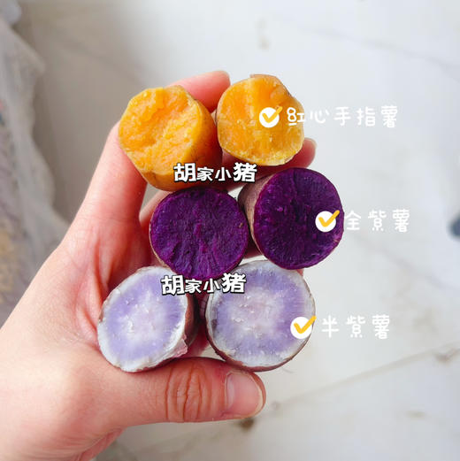 贵州·安顺·紫云·地理标识红心薯·紫薯（五斤/件全国包邮-除新疆西藏内蒙古甘肃宁夏） 商品图10