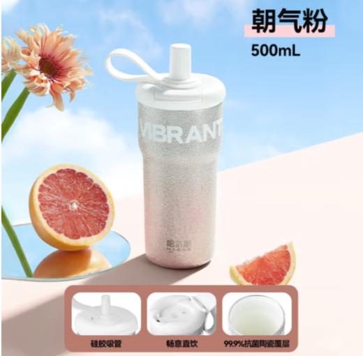 哈尔斯（HAERS）多巴胺保温杯女大容量304不锈钢咖啡杯男办公吸管水杯子500ml  淘气 商品图2