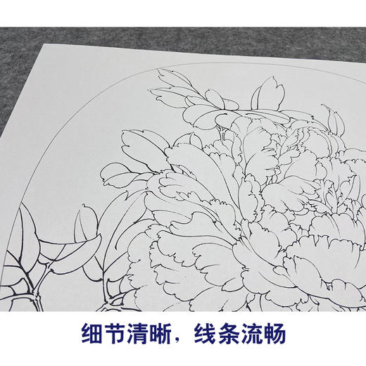 【大彩图】李晓明工笔画白描底稿小品《洛阳红》牡丹临摹勾线花鸟线稿K019 商品图4