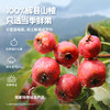 【专区】忆小口鲜果山楂棒7支装 商品缩略图8