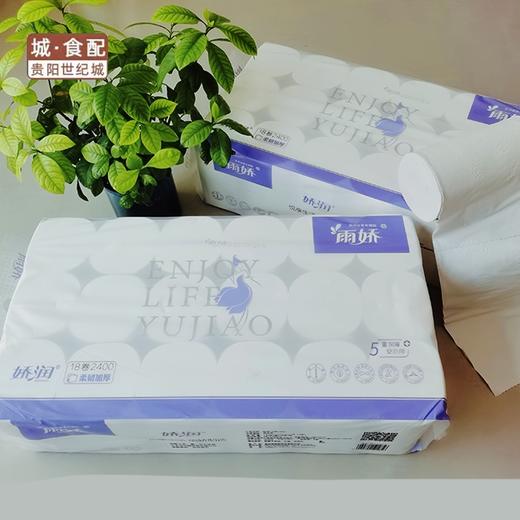 雨娇新娇润18卷2400g圆卷【GY】 商品图1