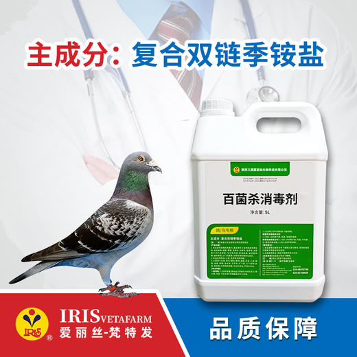 【爱丽丝】百菌杀消毒剂500ml/5L 商品图1