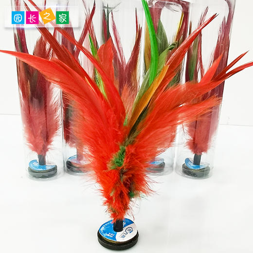 自主游戏—踢毽子鸡毛毽子 商品图3