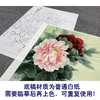 【大彩图】工笔画白描底稿小品《二乔蜡嘴》牡丹临摹勾线花鸟线稿K028 商品缩略图3