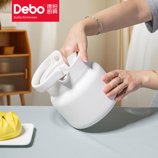 Debo德铂弗里克316不锈钢真空焖茶壶 商品图5