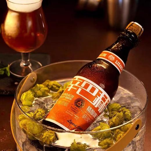 辛巴赫IPA精酿啤酒 商品图0