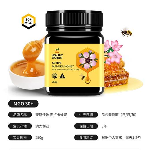 澳洲豪斯佳敦麦卢卡蜂蜜(MGO30+) 250g 商品图2