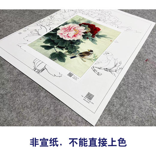 【大彩图】工笔画白描底稿小品《二乔蜡嘴》牡丹临摹勾线花鸟线稿K028 商品图2