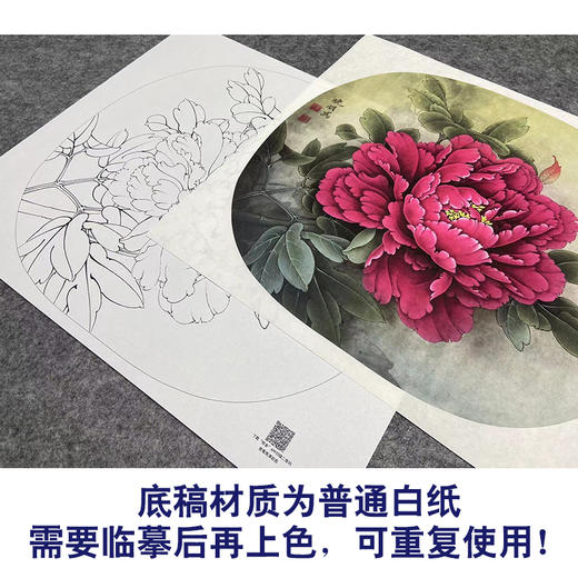 【大彩图】李晓明工笔画白描底稿小品《洛阳红》牡丹临摹勾线花鸟线稿K019 商品图3