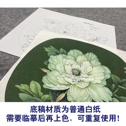 【大彩图】李晓明工笔画白描底稿小品《凤丹白》牡丹临摹勾线花鸟线稿K013 商品图3