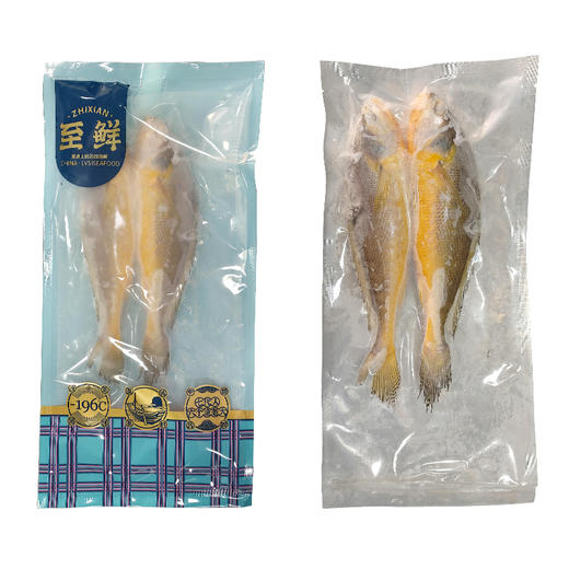 350g/2条 精品中大黄鱼 野生海捕 液氮速冻 商品图3