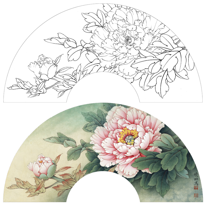 【大彩图】李晓明工笔画白描底稿扇面小品《赵粉》牡丹临摹勾线花鸟线稿K002
