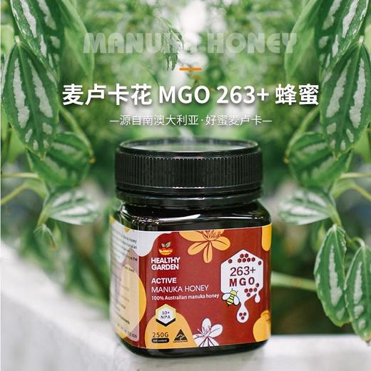 澳洲豪斯佳敦麦卢卡蜂蜜10+(MGO263+)  250g 商品图0