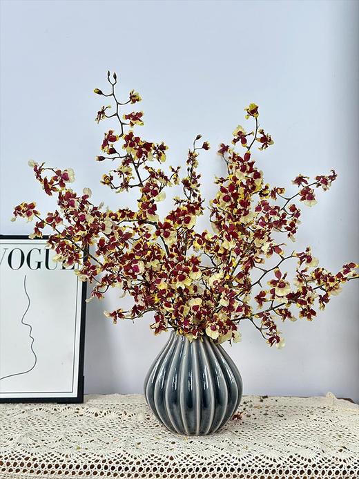 香水兰跳舞兰鲜花三色文心兰鲜切花 商品图0