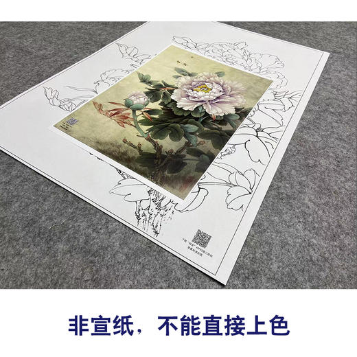 【大彩图】工笔画白描底稿小品《碧空金星》牡丹临摹勾线花鸟线稿K027 商品图2