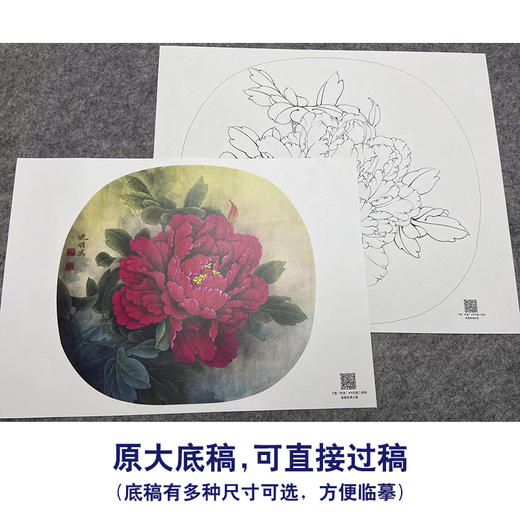 【大彩图】李晓明工笔画白描底稿小品《洛阳红》牡丹临摹勾线花鸟线稿K019 商品图1